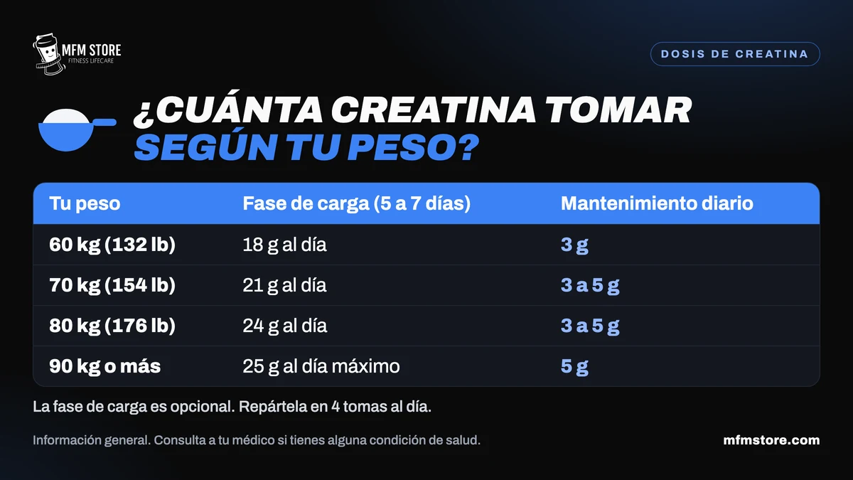 Tabla de cuánta creatina tomar según el peso: fase de carga y dosis de mantenimiento diaria.